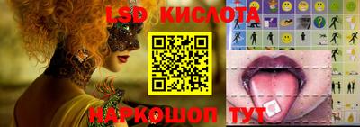 PSILOCYBIN Нальчик