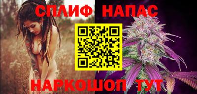 PSILOCYBIN Нальчик